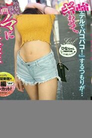 NNPJ-405