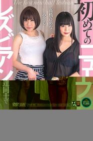 TCD-261